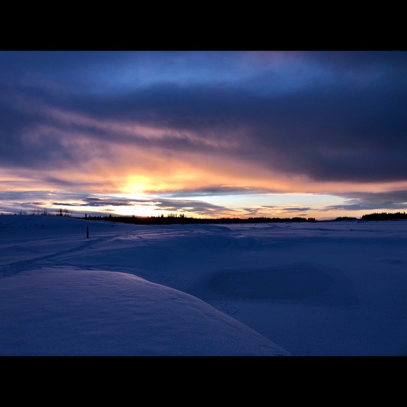 Meet your Posher, Posh - Picture 6 of 9